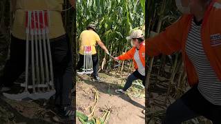 Essential Farming Tools for Rural Farmer  Corn 🌽 🌽 Silage Cutting Tools shorts satisfying [upl. by Revilo]