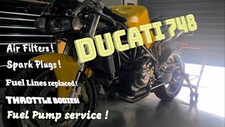 DUCATI 748 Fuel system service [upl. by Ednihek]