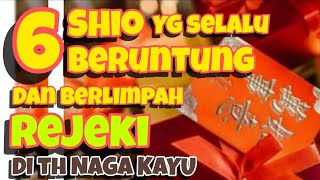 6 SHIO yg selalu BERUNTUNG amp berlimpah REJEKI di th NAGA KAYU [upl. by Oivlis]