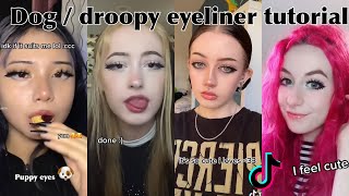 DOG  DROOPY EYELINER TUTORIAL  TIKTOK COMPILATION [upl. by Yetak]