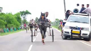 Salman Horse Race Tamil Nadu Chota Chakrawal 1 No 🏆🐎horse tamil [upl. by Asilem192]