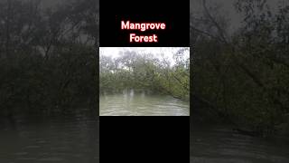 Mangrove Forest Moheshkhali travel travelvlog coxsbazar moheshkhali mangrove [upl. by Temple633]