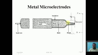 U1  S7  MICRO ELECTRODE [upl. by Amekahs582]