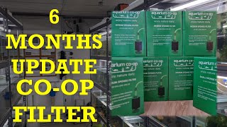 Aquarium Co Op Sponge filter 6 months update [upl. by Barmen]