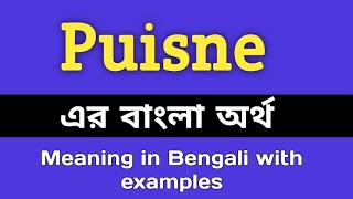 Puisne Meaning in Bengali  Puisne শব্দের বাংলা অর্থ কি  Bengali Meaning Of Puisne [upl. by Damian]