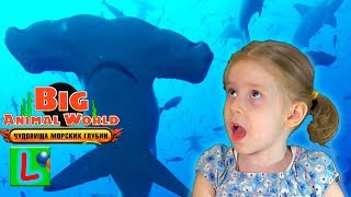 BIG ANIMAL WORLD ЧУДОВИЩА МОРСКИХ ГЛУБИН АКУЛА МОЛОТ игрушки как ДЕАГОСТИНИ DEAGOSTINI распаковка [upl. by Anna-Maria38]