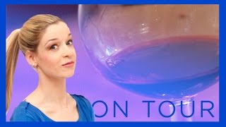 Wein für Anfänger  Ein Sommelier im Verhör [upl. by Dnana]