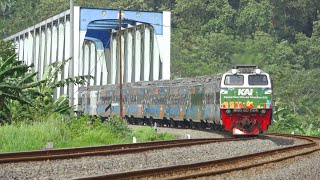 KERETA API PANJANG‼️ MENEMUKAN 24 KERETA API DI JEMBATAN DAN TEROWONGAN [upl. by Ennaxor]