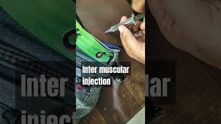 how to inject intermuscular im injectionyoutube shots [upl. by Rowley]