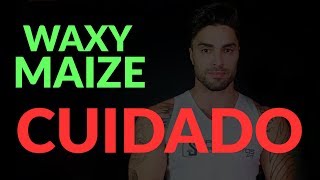 🔴 Waxy Maize é FURADA DESCUBRA tudo que vc precisa saber e como tomar [upl. by Elylrac59]