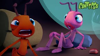 Midnight Music 🔴NEW EPISODE🔴 Funny Cartoons For All The Family  Videos for kids  ANTIKS 🐜 [upl. by Eeslek852]