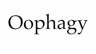 How to Pronounce Oophagy [upl. by Alleris92]