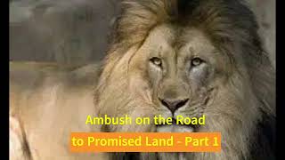 Ambush on the Road to Promised Land  Part 1 [upl. by Notelrahc]