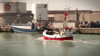 Hirtshals Havn  Fiskeri [upl. by Aldous848]