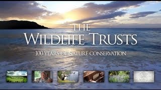 100 years of nature conservation [upl. by Hairym]