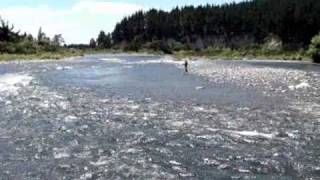 Flyfishing the Tongariro River New Zealand [upl. by Ecnav]