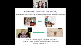 Elizabeth Spelke  What infants know and dont know [upl. by Ekalb]