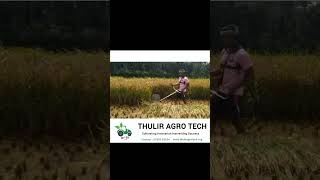 Power in Action Thulir Agro Tech Brush Cutter Demo 🌾💪 [upl. by Akeber]