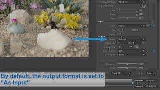 ARRI Tech Tip ARRIRAW Converter  How to create an unscaled image [upl. by Mike572]