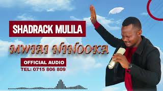 Shadrack Mulila  Mwiai Ninooka Official Audio [upl. by Dorkus]