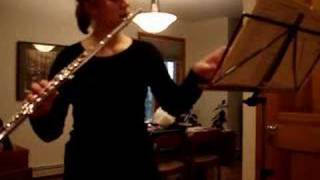 1st Movement of Pergolesis Concerto for flute and piano [upl. by Bowles477]