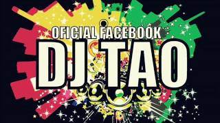 Sabor A Gaita Dj Tao 2013 [upl. by Beattie]