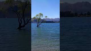 newzealand wanaka [upl. by Tarfe34]