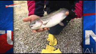 Italian Fishing TV  Tubertini  Tecniche di pesca  Trota Lago [upl. by Lorelle]