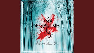 Eisblumen Radio Mix [upl. by Marisa345]