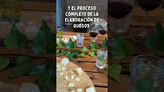 ¡Nuestra cava natural es una joya en la Ruta del Arte del Queso y Vino en Querétaro [upl. by Daeriam395]