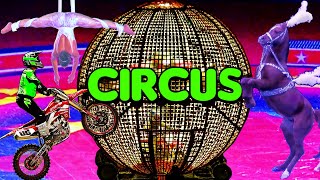 Circus Show 2023 Spectacular  Motorcycles in Globe 🌐 Arabian Horses 🐎 Clowns 🤡 and Much More [upl. by Nnylarac]