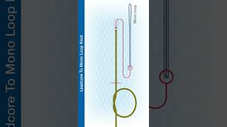 Shorts How to Tie The Leadcore To Mono Loop Knot [upl. by Urias]