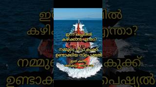 ഇത് കണ്ടു ശരിക്കും നേട്ടി മാമ 🙄 ഇങ്ങനെ ഒരു ആഹാരമോ 🙄 shyam the sailor malayalam ship vlog [upl. by Etteloiv]