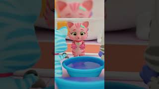 Cat Song  Three little kittens  Jolly Jolly  Learn and Play  Nursery Rhymes [upl. by Dayle]