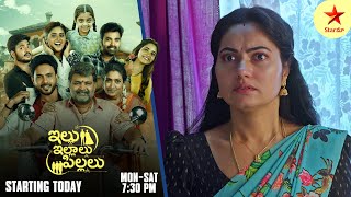 Mamagaru  Promo  12th Nov 2024  Star Maa Serials  MonSat at 2 PM  Star Maa [upl. by Schreibman869]