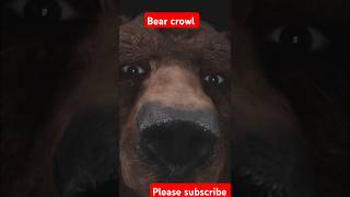 bear crawl plank bear crawl shoulder tap bear crawl scene bear crawlshortfeedshorts [upl. by Lyrehc]