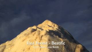 East Forest  Beatific Official Audio [upl. by Annekim642]