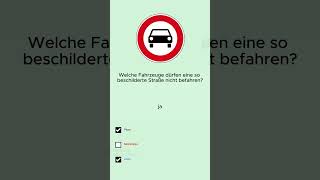 Die häufigsten Verkehrszeichen die du für die Prüfung kennen musst prüfung shorts automobile [upl. by Tab590]