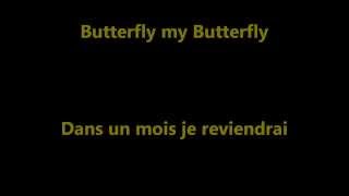 Butterfly Danyel Gérard cover lyrics [upl. by Feola559]