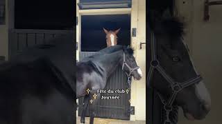 La fête du club  Journée ✨ horseedit equestrian feteduclub horseriding [upl. by Ecnadnak530]