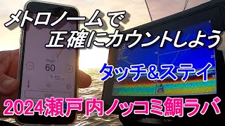 メトロノームで正確にカウント 2024瀬戸内ノッコミ鯛ラバ [upl. by Skrap]