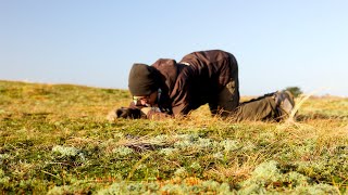 Groene Werelden Onder Onze Voeten mossen en korstmossen [upl. by Irmina10]