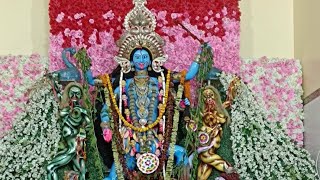 kali puja Jajpur 2024 Vlogs [upl. by Refannej]