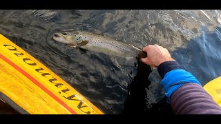 Trolling Grampians trout in the kayak [upl. by Else]