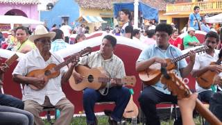 Encuentro de Jaraneros en Tlacotalpan Veracruz [upl. by Ainad]