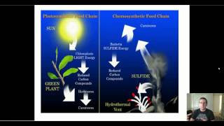 Types of Autotrophs [upl. by Pauwles]