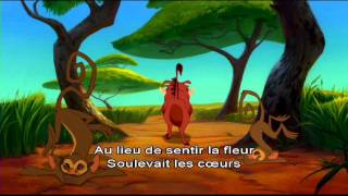 Le Roi Lion  Karaoké  Hakuna Matata I Disney [upl. by Ytsihc]