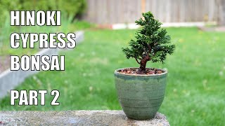 Hinoki Cypress Bonsai Initial Styling Part 2 [upl. by Attecnoc]