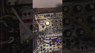 ambient eurorack modularsynth synthesizer musicproduction drone makenoise experimentalmusic [upl. by Alba925]