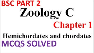 BSC Part 2  Zoology C  Ch 1  Hemichordates and chordates  Solved MCQs  PU Online MCQs [upl. by Kulda781]